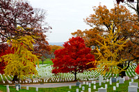 Arlington Nat'l Cemetery and Iwo Jima Memorial
