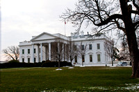 White House Xmas 2010