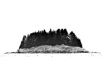 Acadia National Park in Black and White